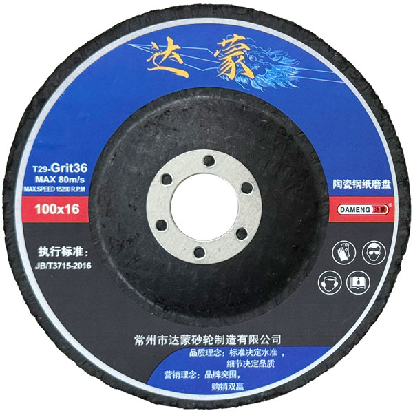 100mm Ceramic Grinding Disc